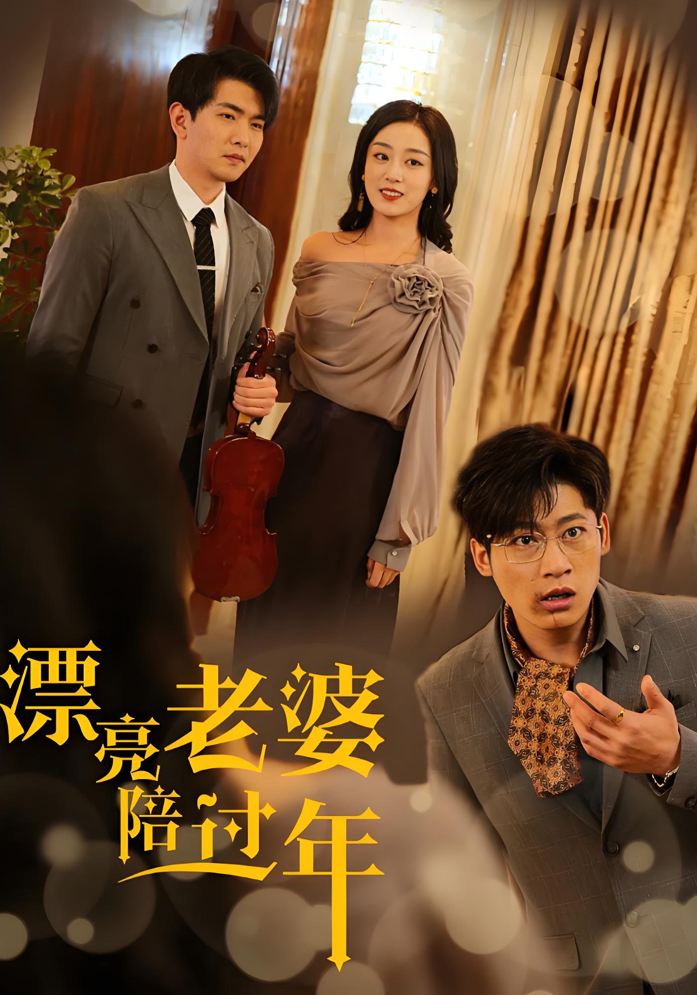 漂亮老婆陪过年