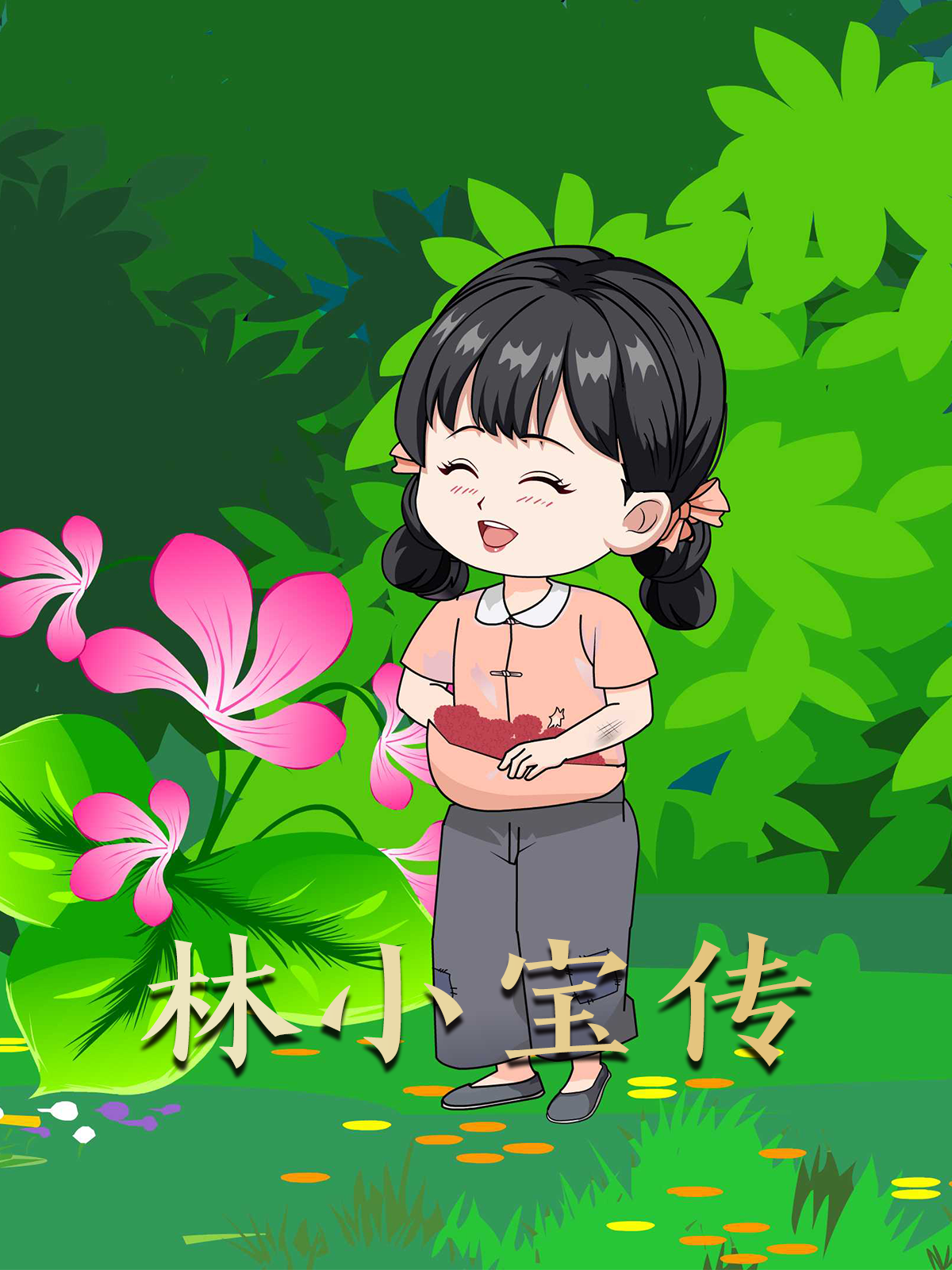 林小宝传