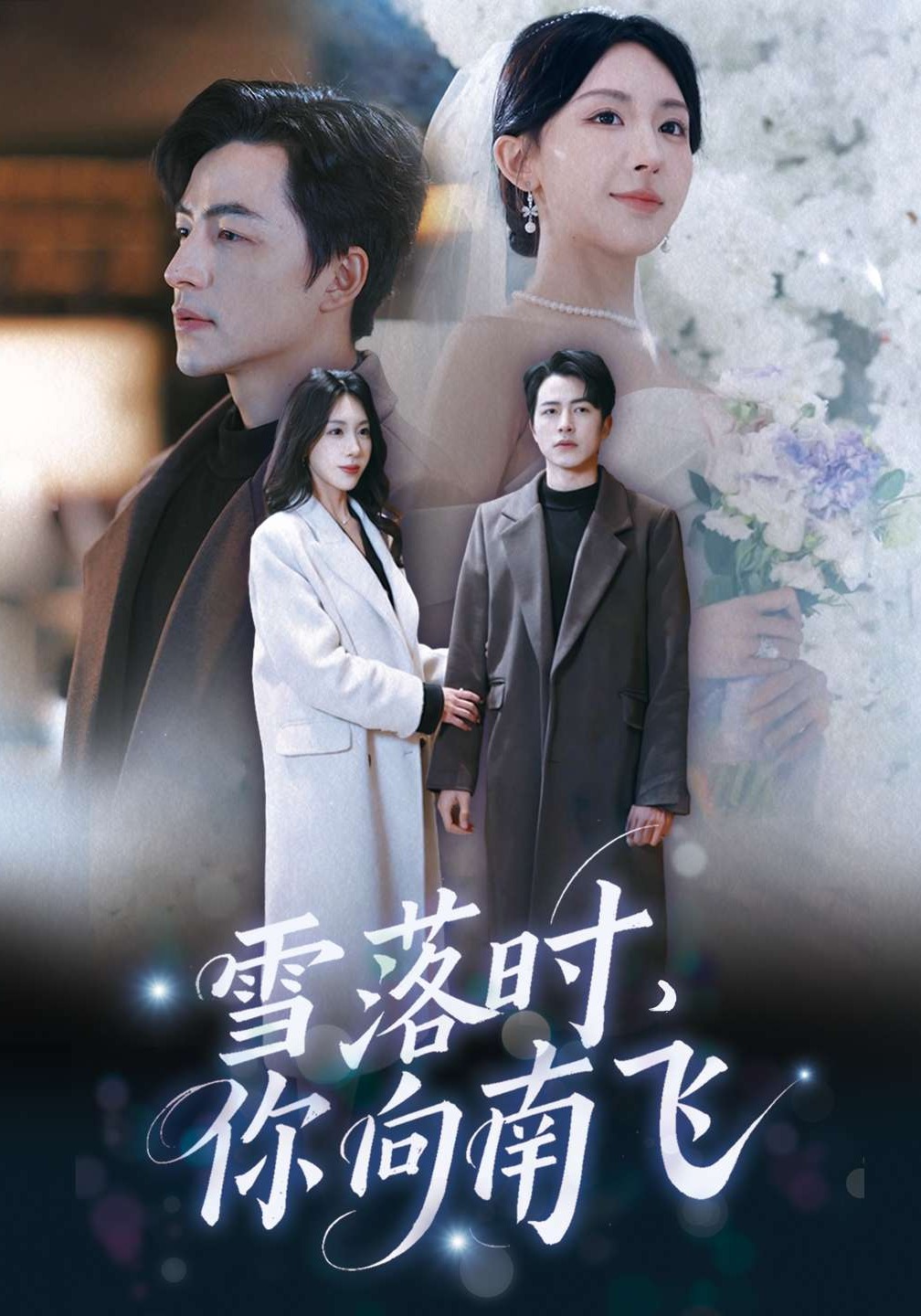 雪落时，你向南飞