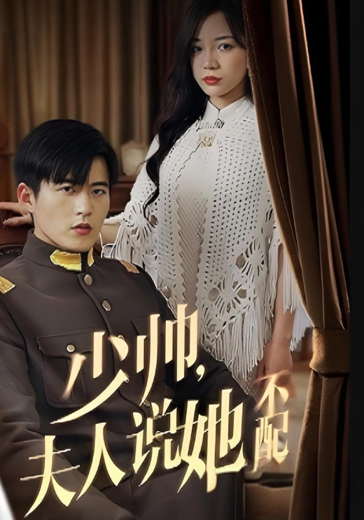 少帅，夫人说她不配封面图