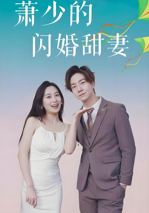 萧少的闪婚甜妻