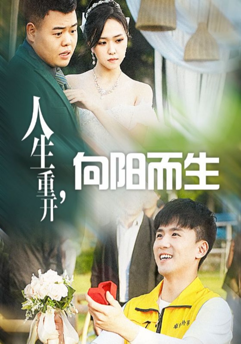 人生重开向阳而生