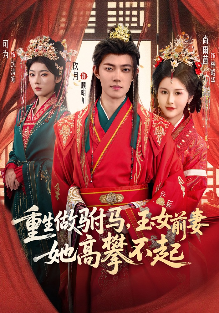 重生做驸马，玉女前妻她高攀不起封面图