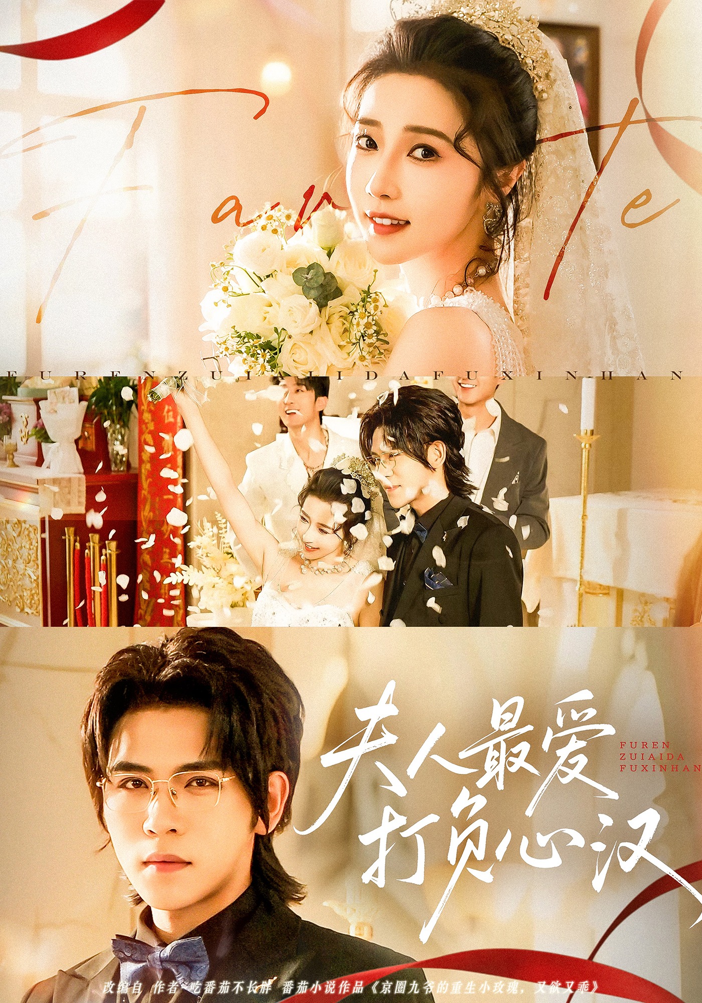 夫人最爱打负心汉