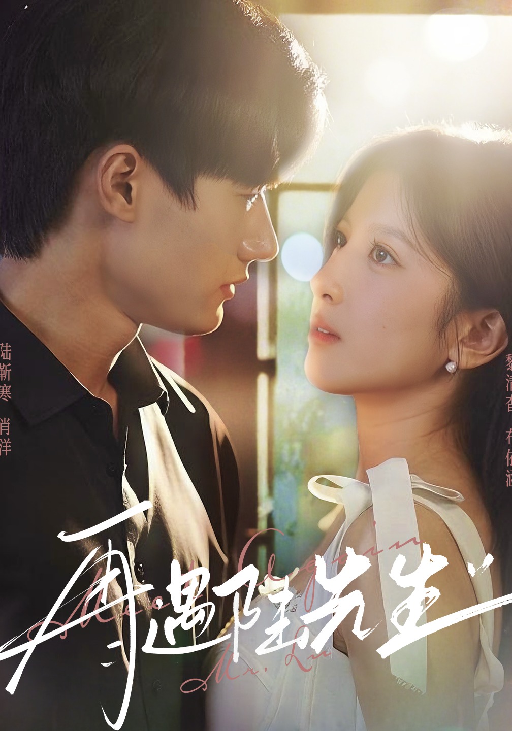 再遇陆先生封面图