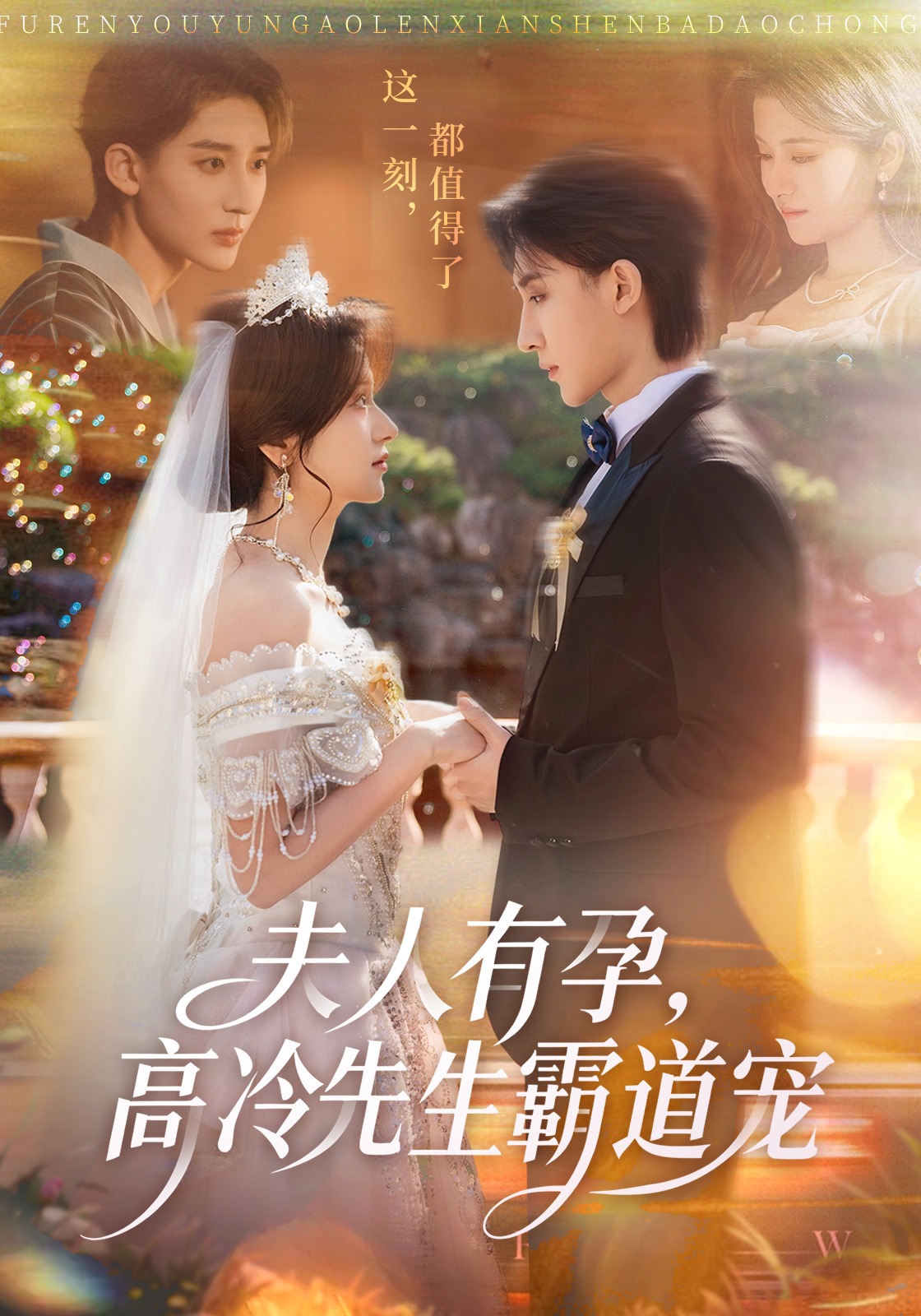 夫人有孕，高冷先生霸道宠