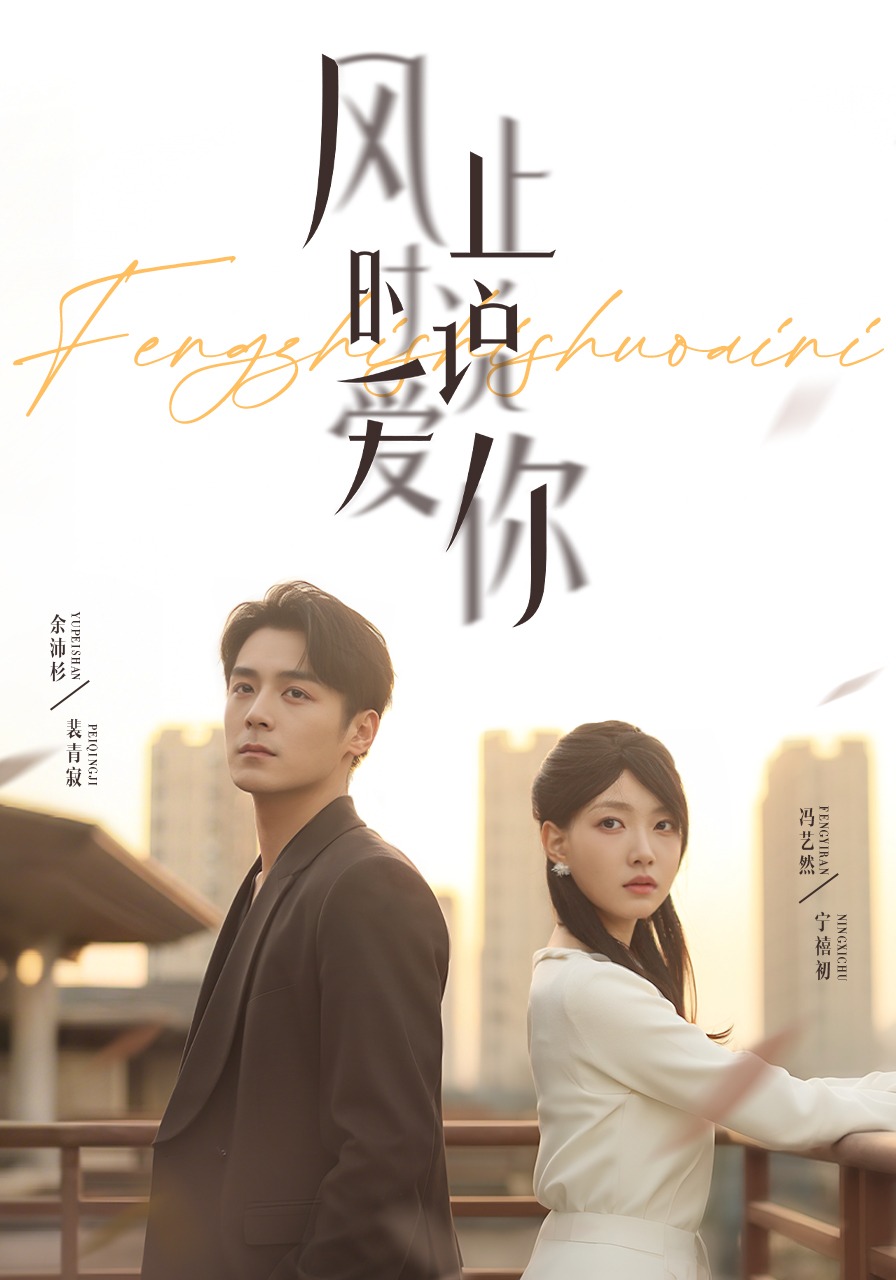 风止时说爱你封面图