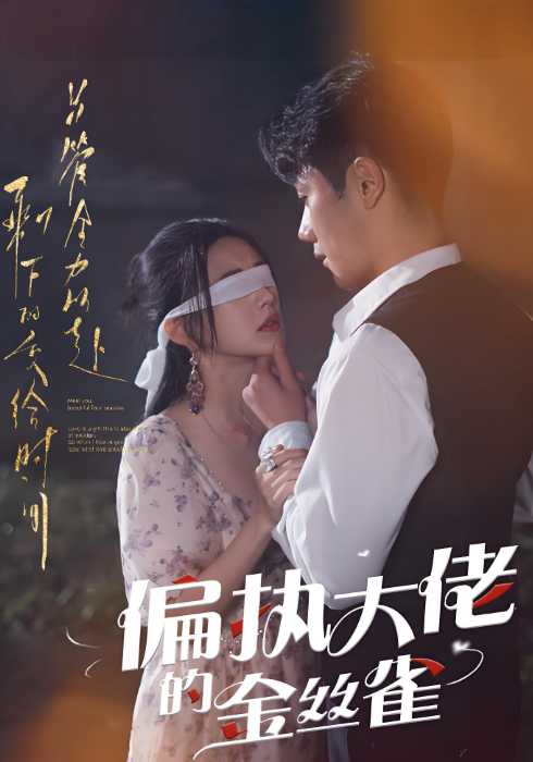 偏执大佬的金丝雀