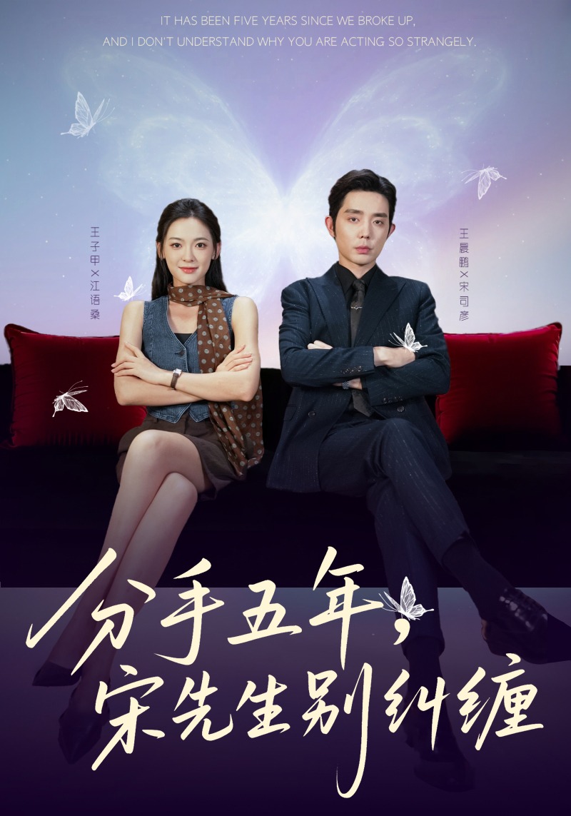 分手五年宋先生别纠缠