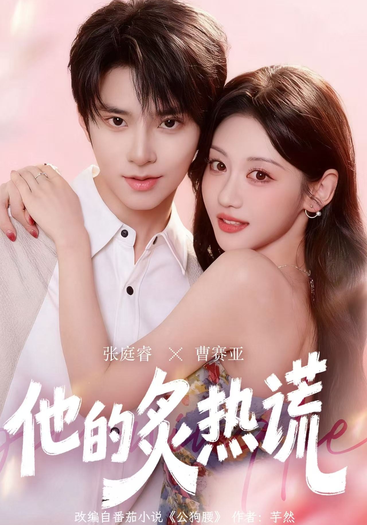 他的炙热谎封面图