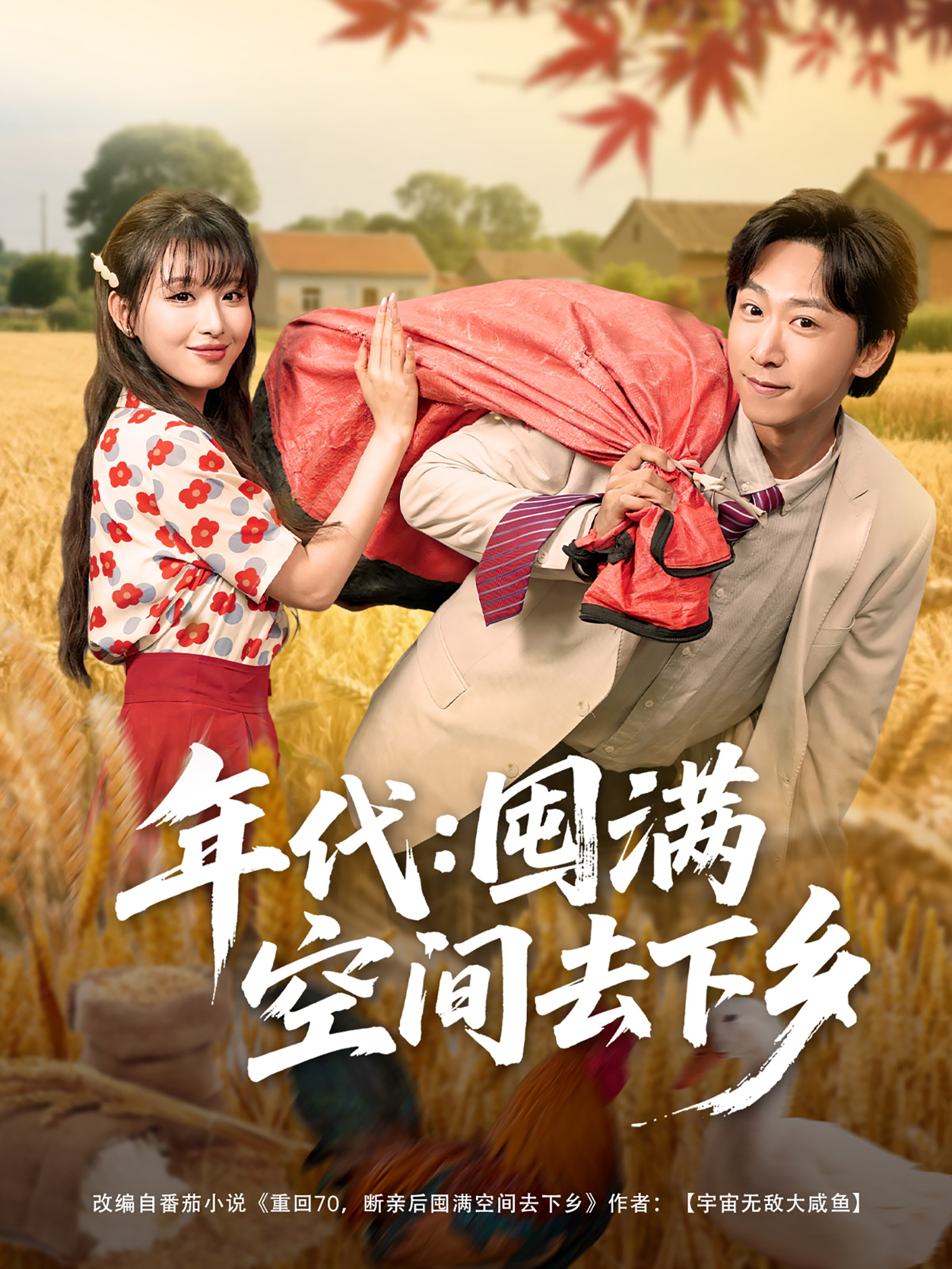 年代：囤满空间去下乡封面图
