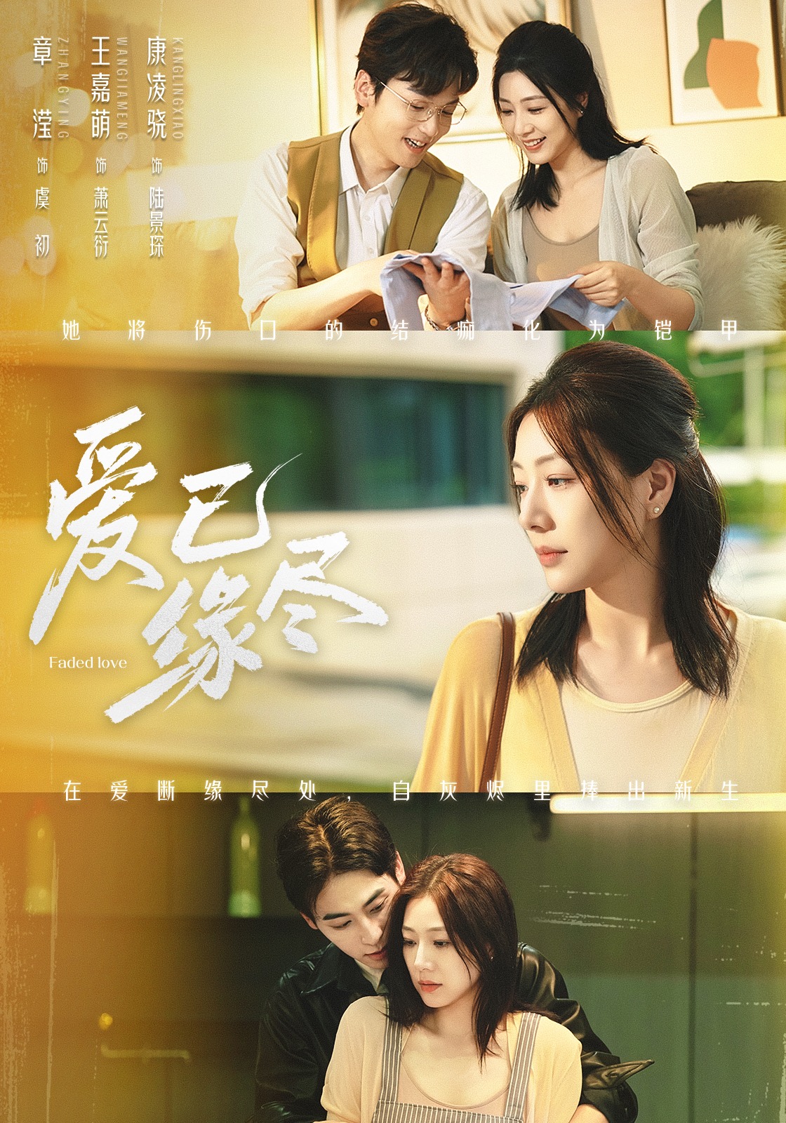 爱已缘尽封面图