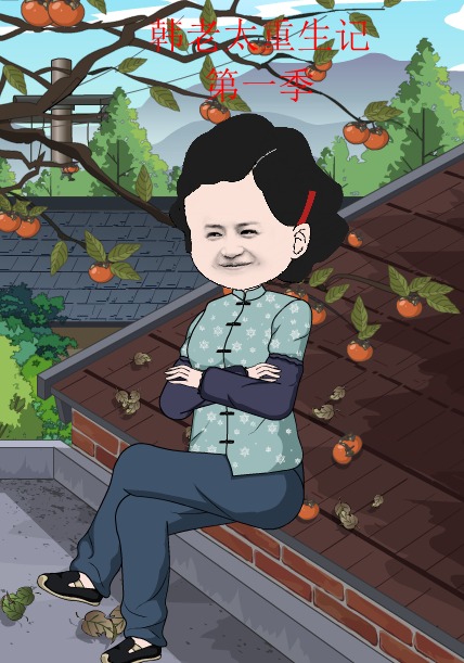 韩老太重生记
