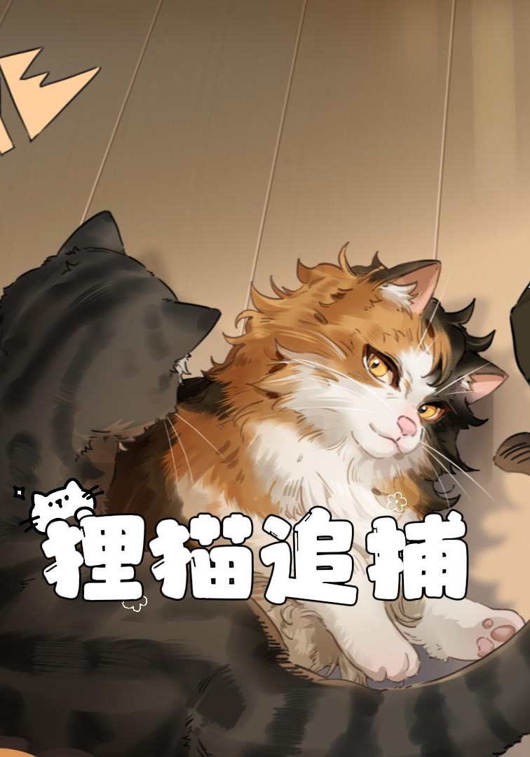 狸猫追捕