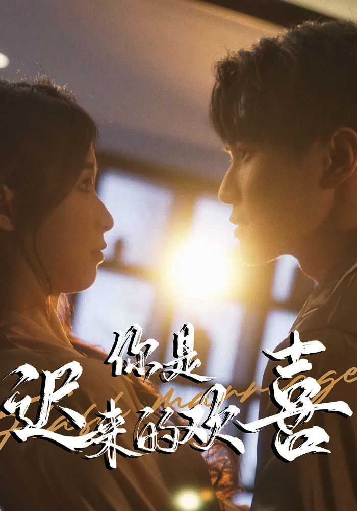 你是迟来的欢喜