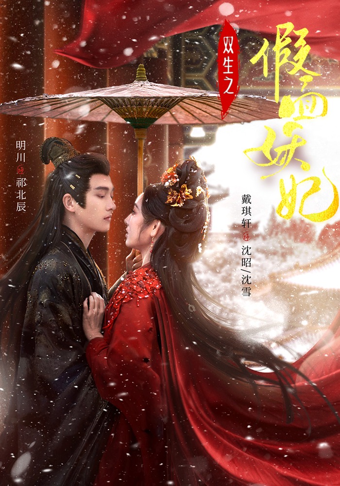 双生之假面妖妃封面图