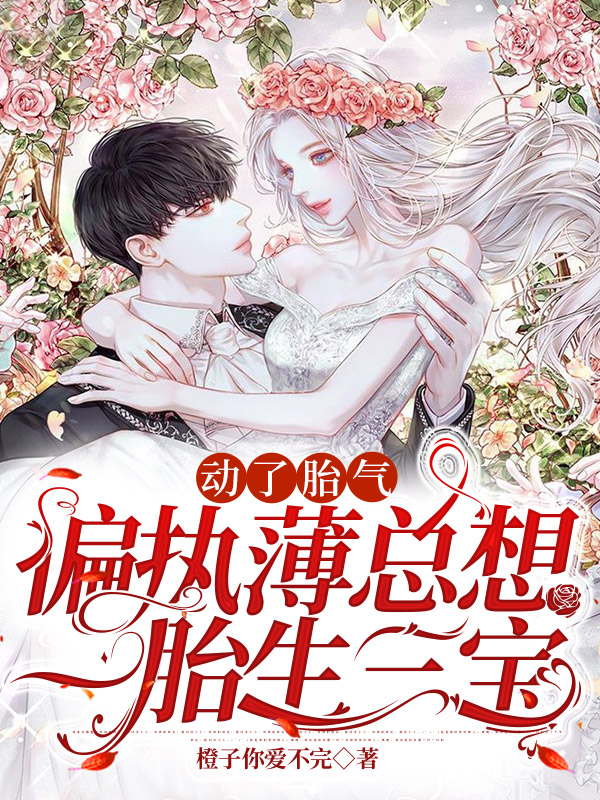 动了胎气,偏执薄总想一胎生三宝时暖薄景琛_橙子你爱不完小说-锤石