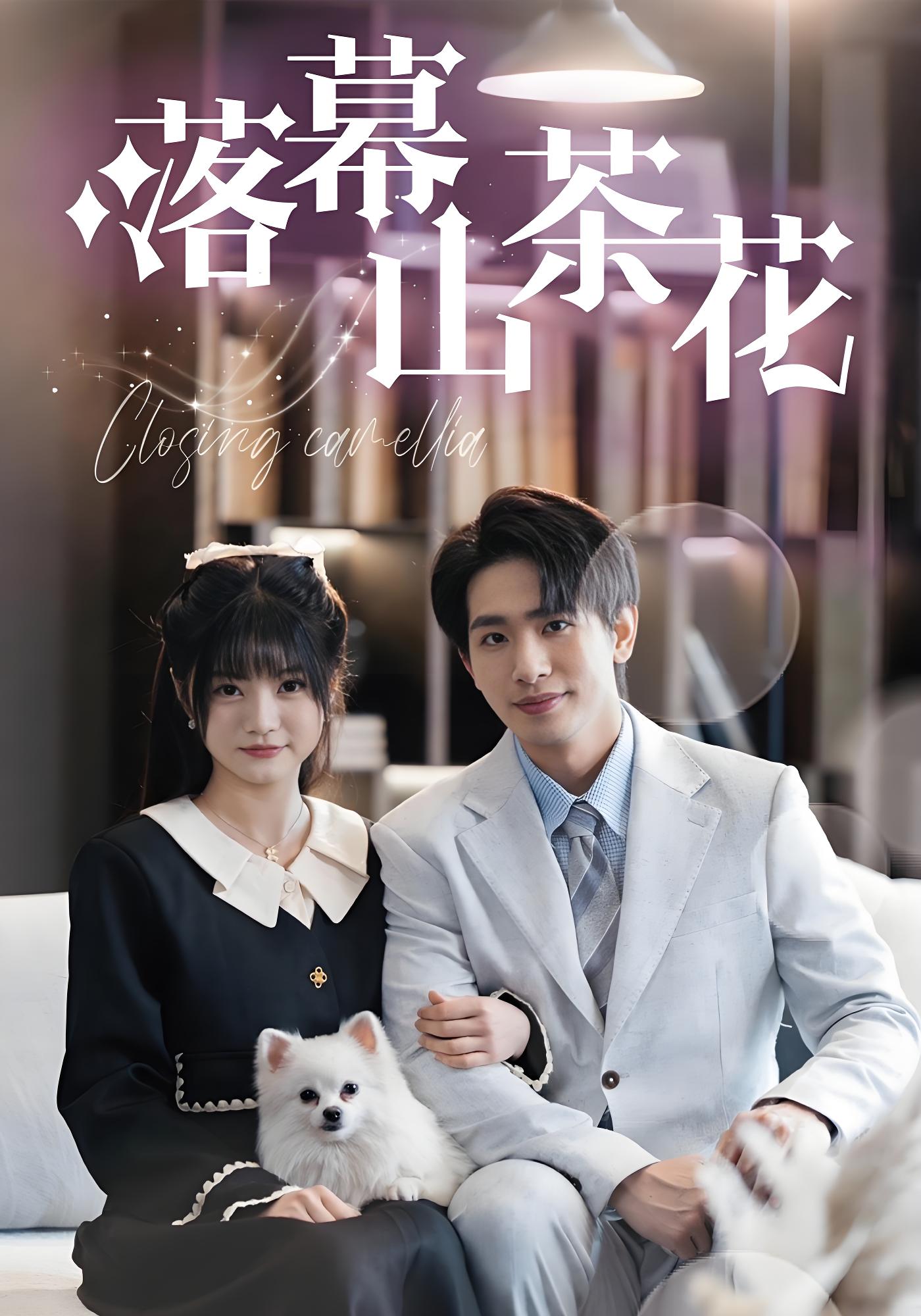 落幕山茶花封面图