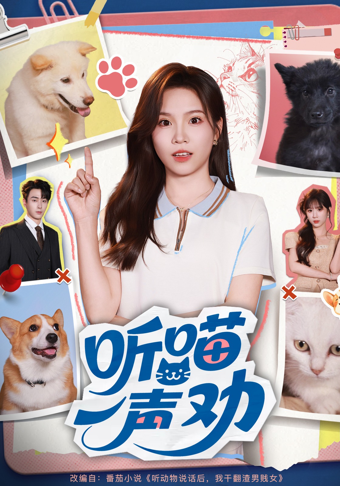 听喵一声劝封面图