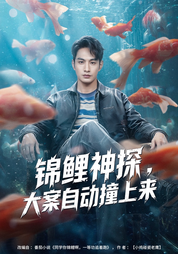 锦鲤神探大案自动撞上来
