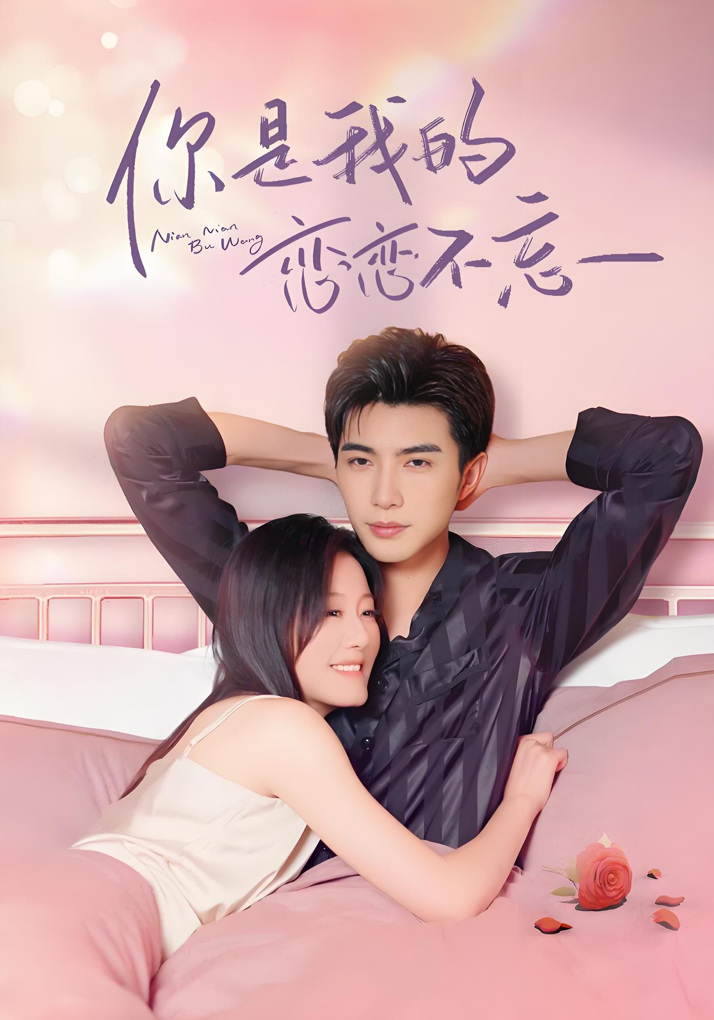 你是我的恋恋不忘