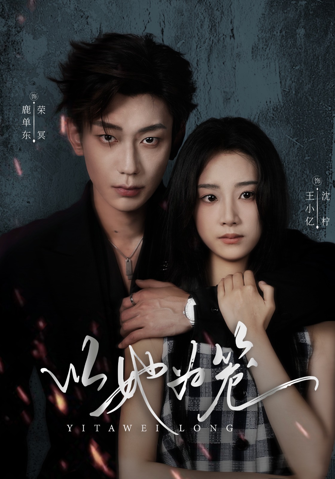 以她为笼封面图