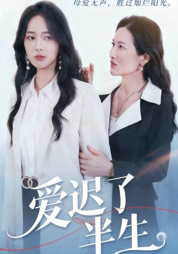 爱迟了半生封面图