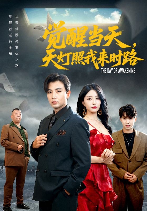 觉醒当天，天灯照我来时路封面图