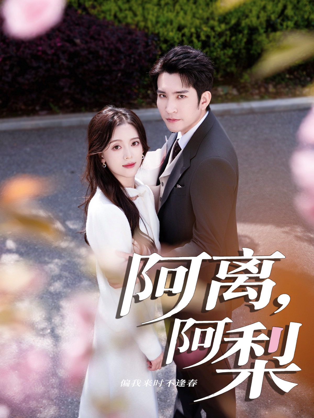 阿离，阿梨