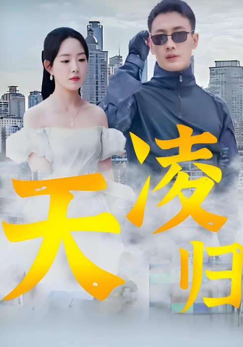 凌天归