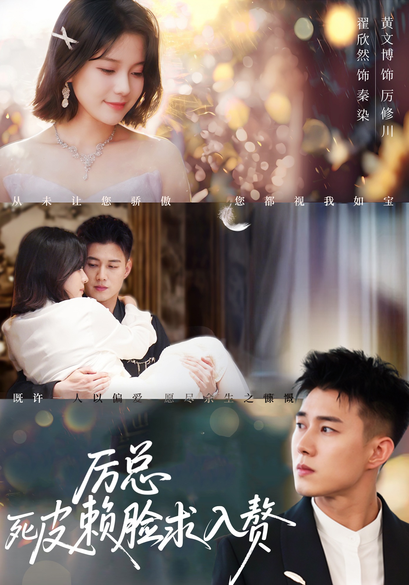 厉总死皮赖脸求入赘