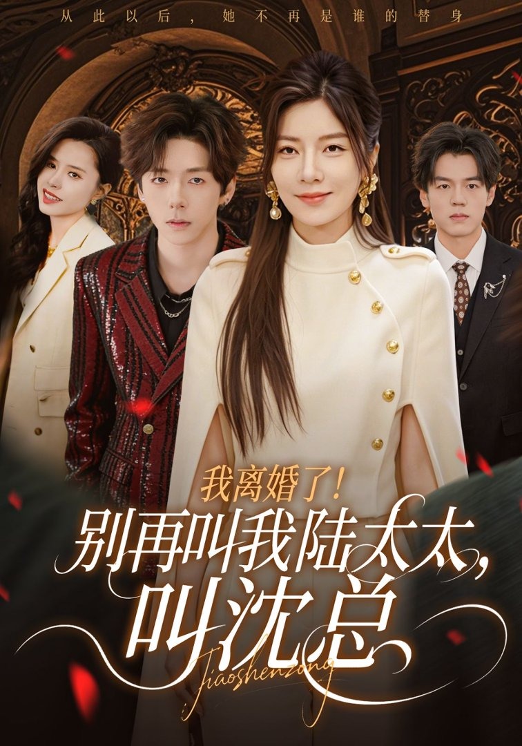 我离婚了别再叫我陆太太叫沈总}