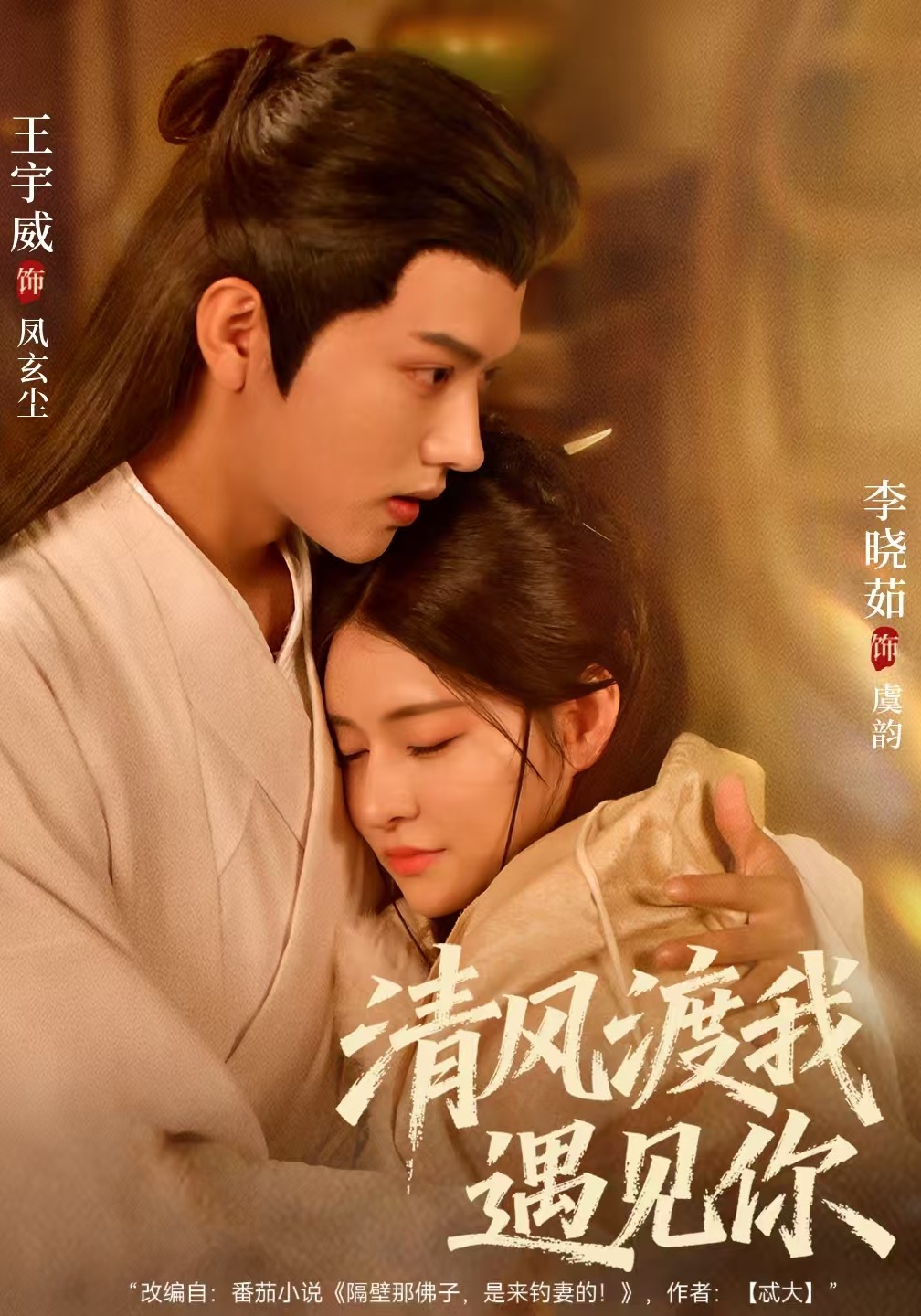 清风渡我遇见你封面图