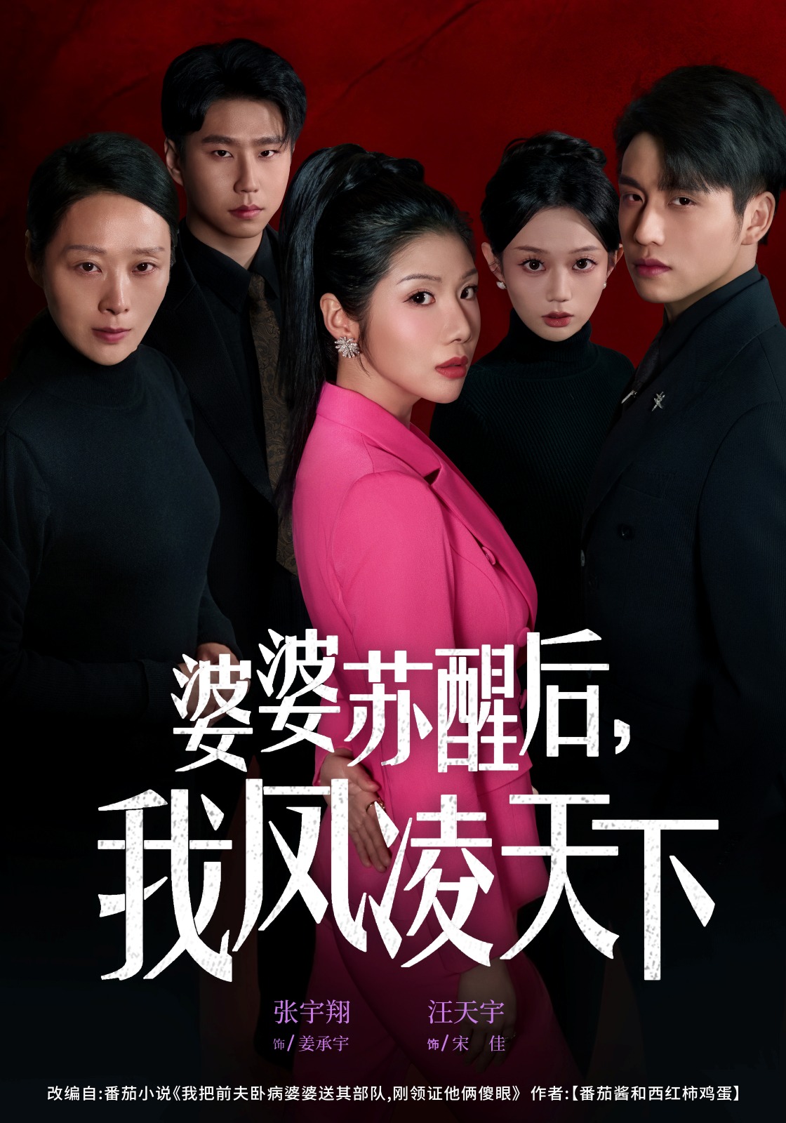 婆婆苏醒后我凤凌天下