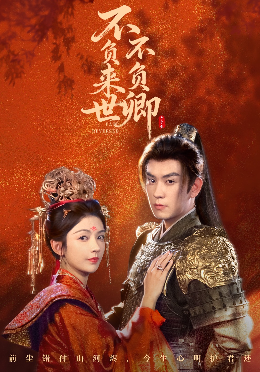 不负来世不负卿封面图