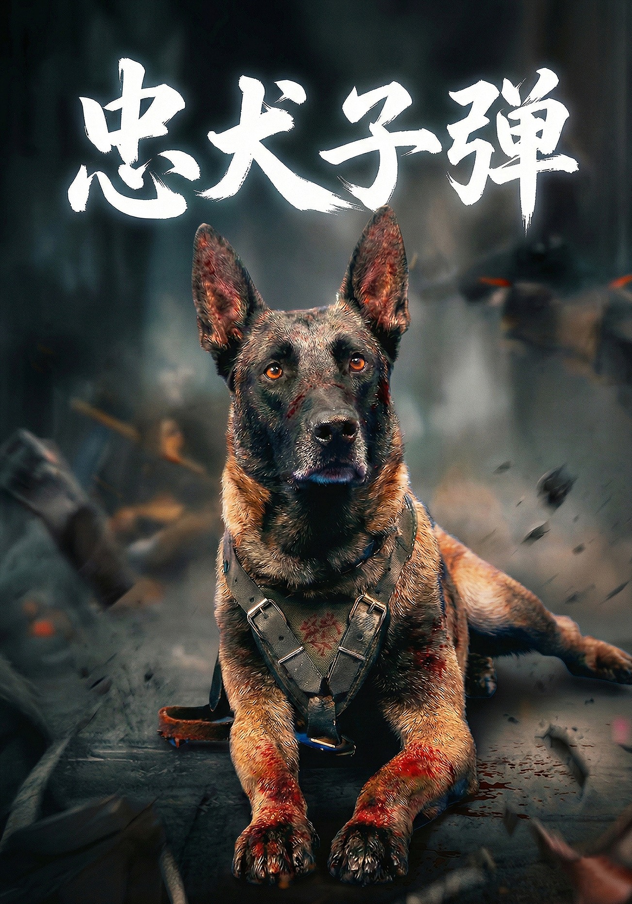 忠犬子弹