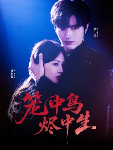 笼中鸟烬中生