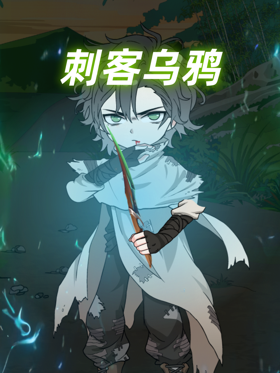 刺客乌鸦