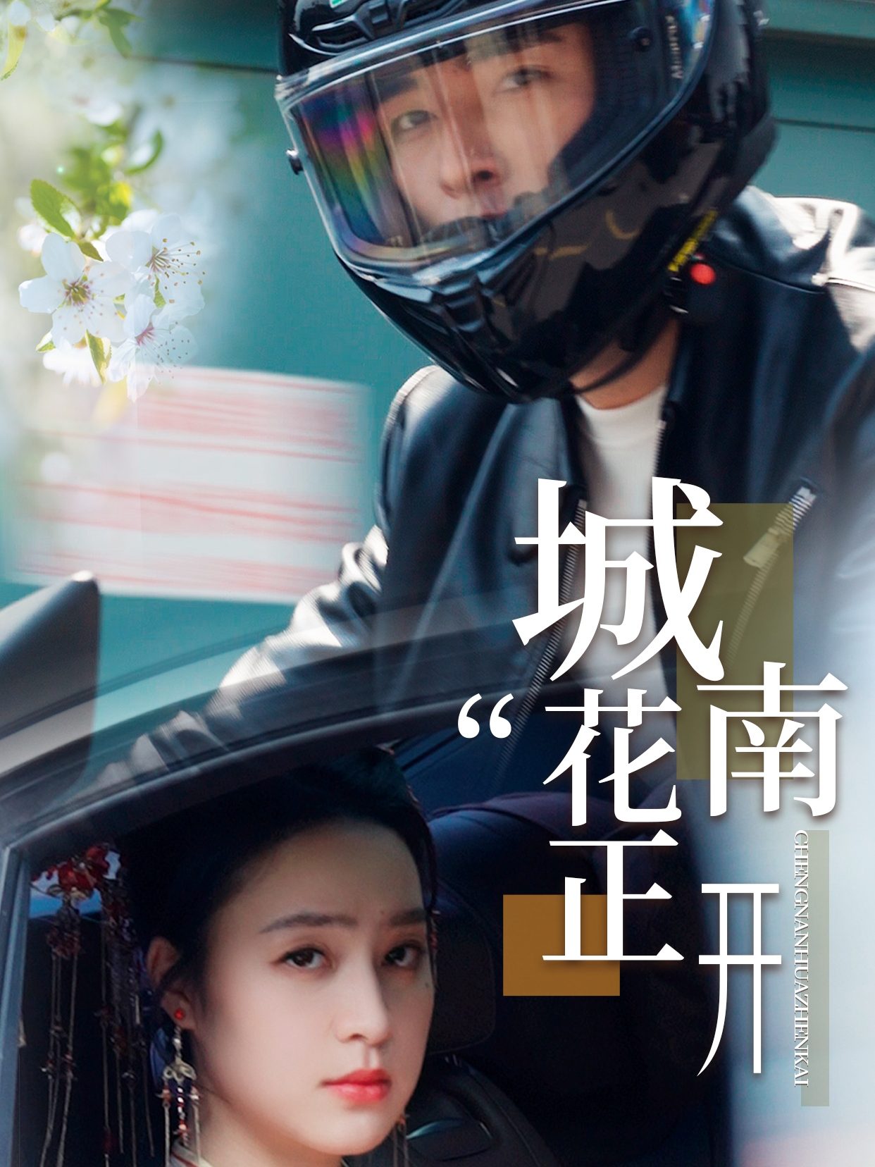 城南花正开