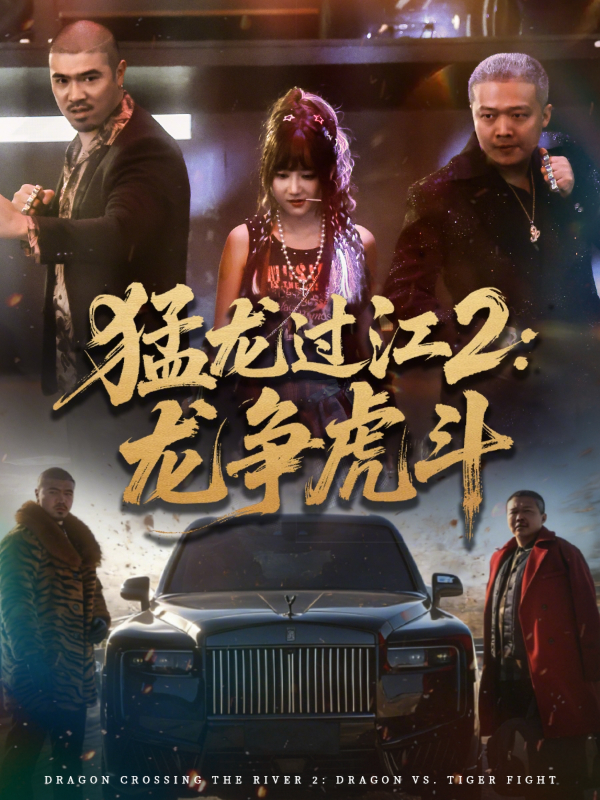 猛龙过江2：龙争虎斗