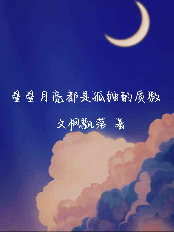 星星月亮都是孤独的质数